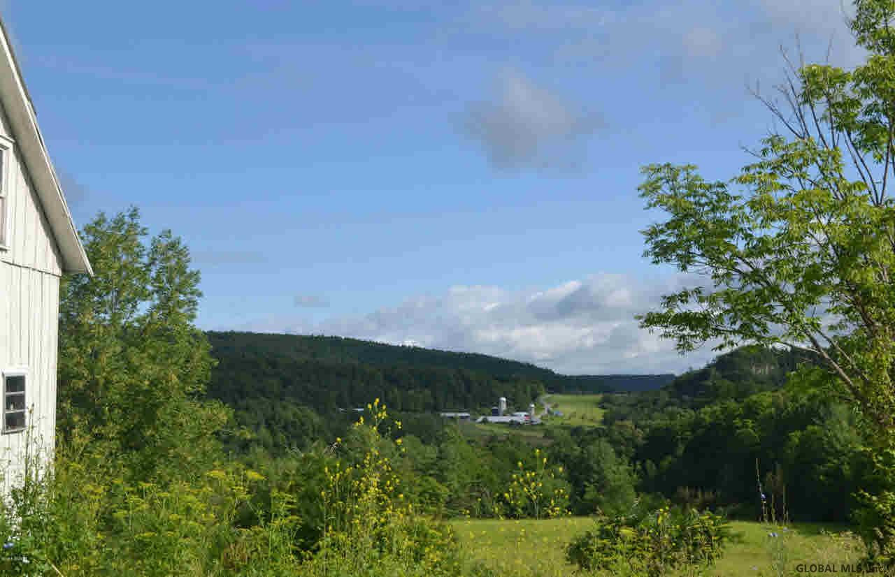334 Lake Road Putnam, NY 12861 - Photo 3 of 21 Photo 3
