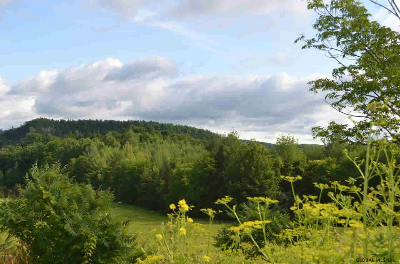 334 Lake Road Putnam, NY 12861 - Photo 4 of 21 Photo 4