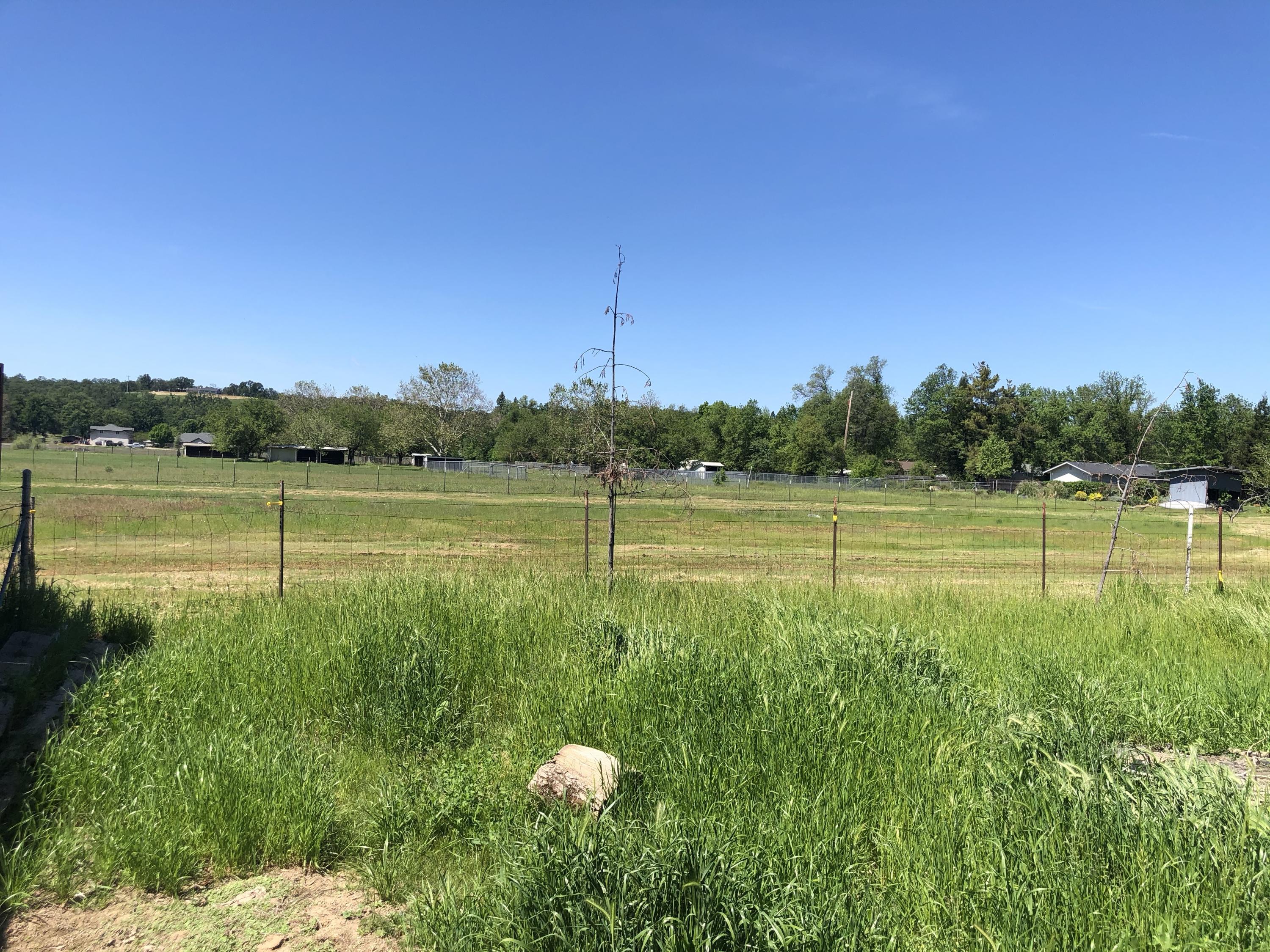 8664 Deschutes Road Palo Cedro, CA 96073 - Photo 33 of 59 back pasture