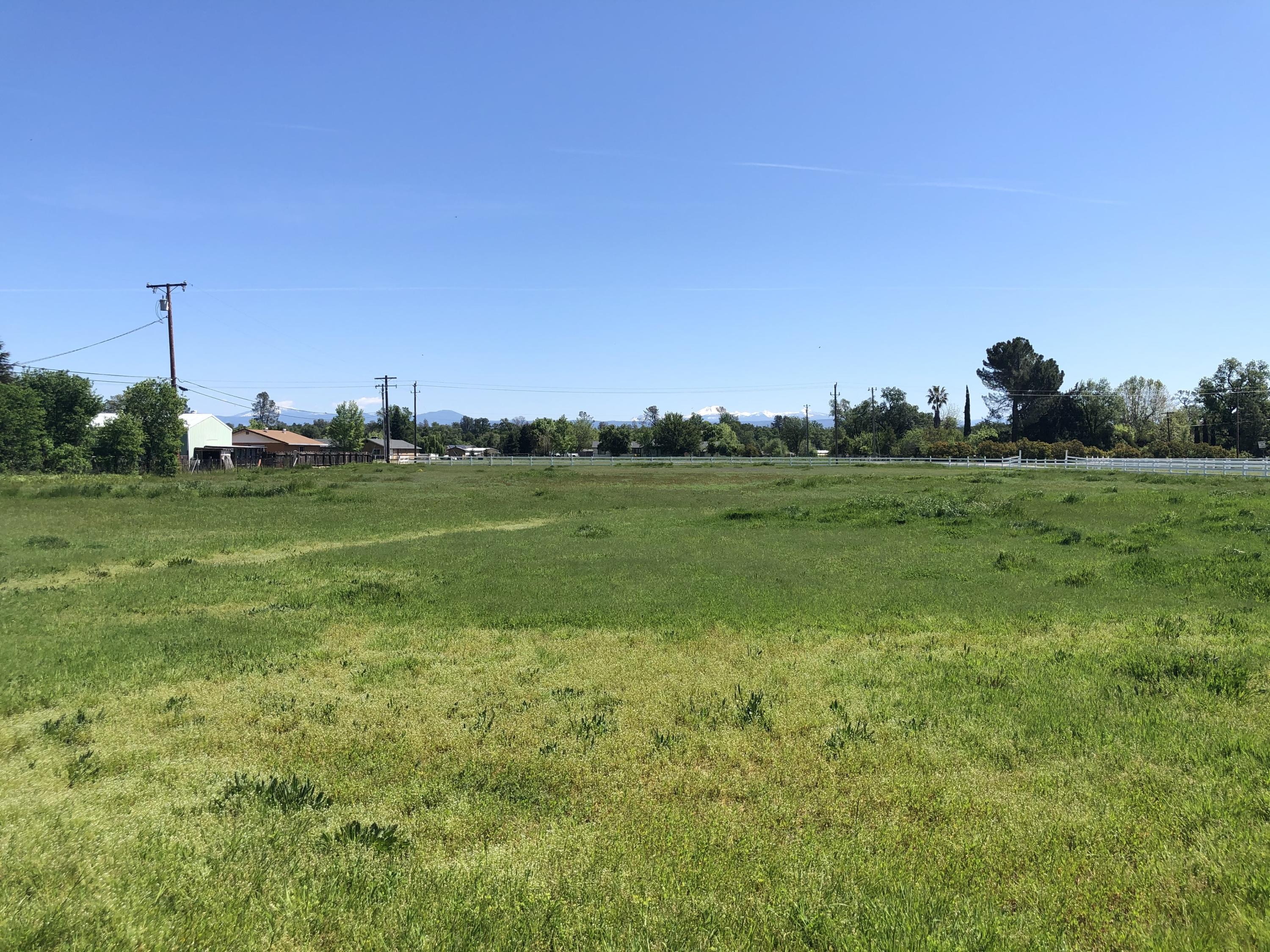 8664 Deschutes Road Palo Cedro, CA 96073 - Photo 53 of 59 IMG_4456 copy