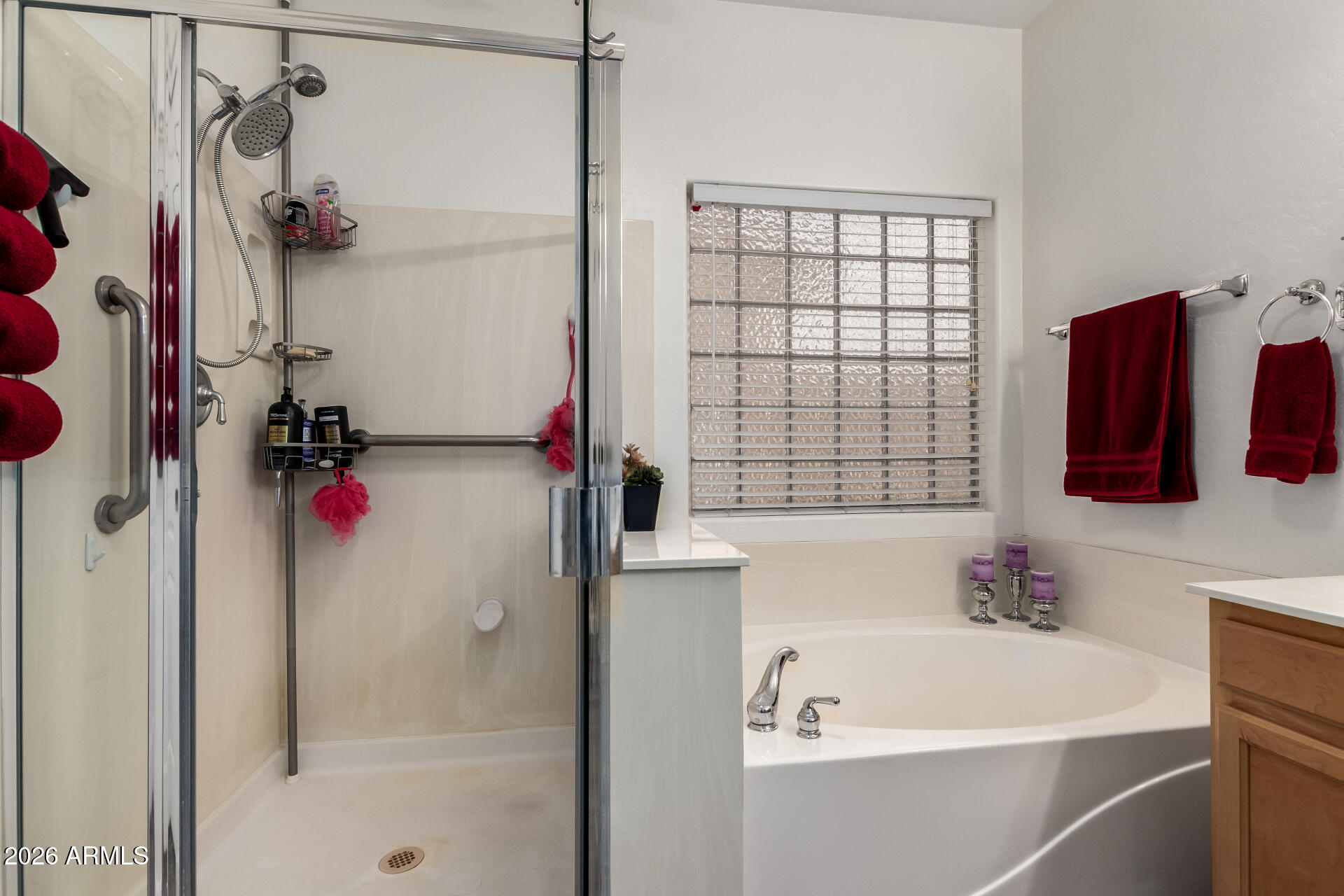 12937 West Flower Street Avondale, AZ 85392 - Photo 17 of 29 18 - Flower