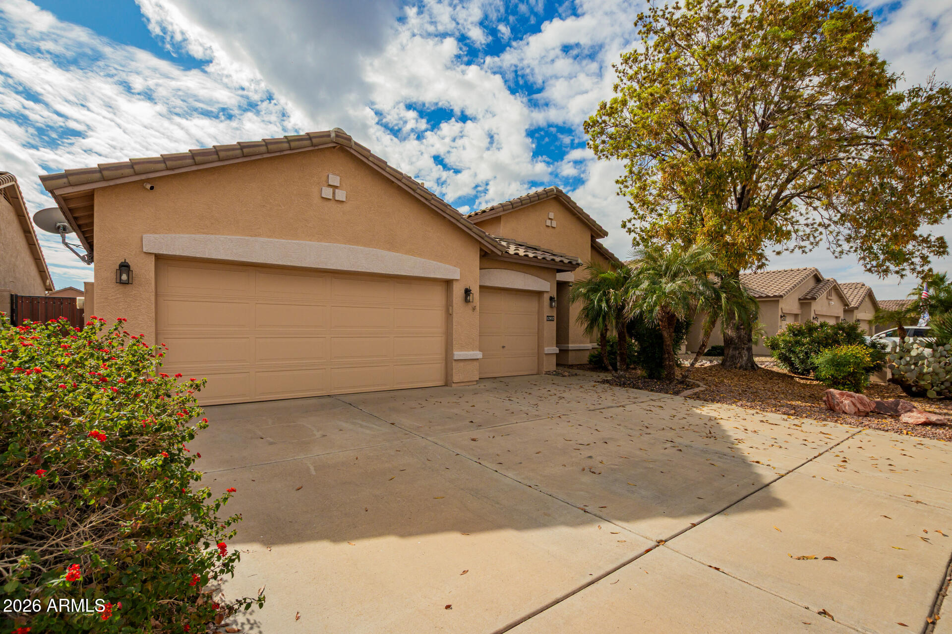 12937 West Flower Street Avondale, AZ 85392 - Photo 3 of 29 02 - Flower