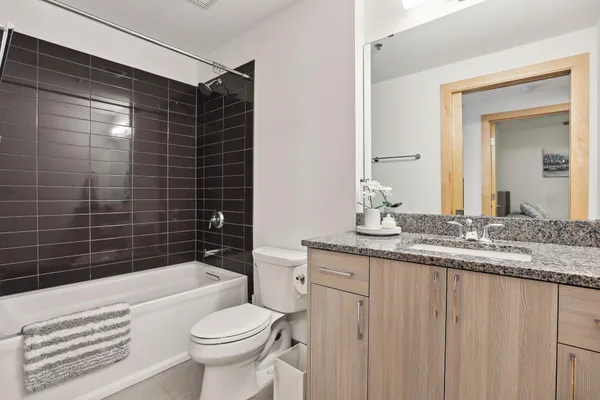 $3,150 | 1240 South 2nd Street, Unit 308, Minneapolis, MN 55415