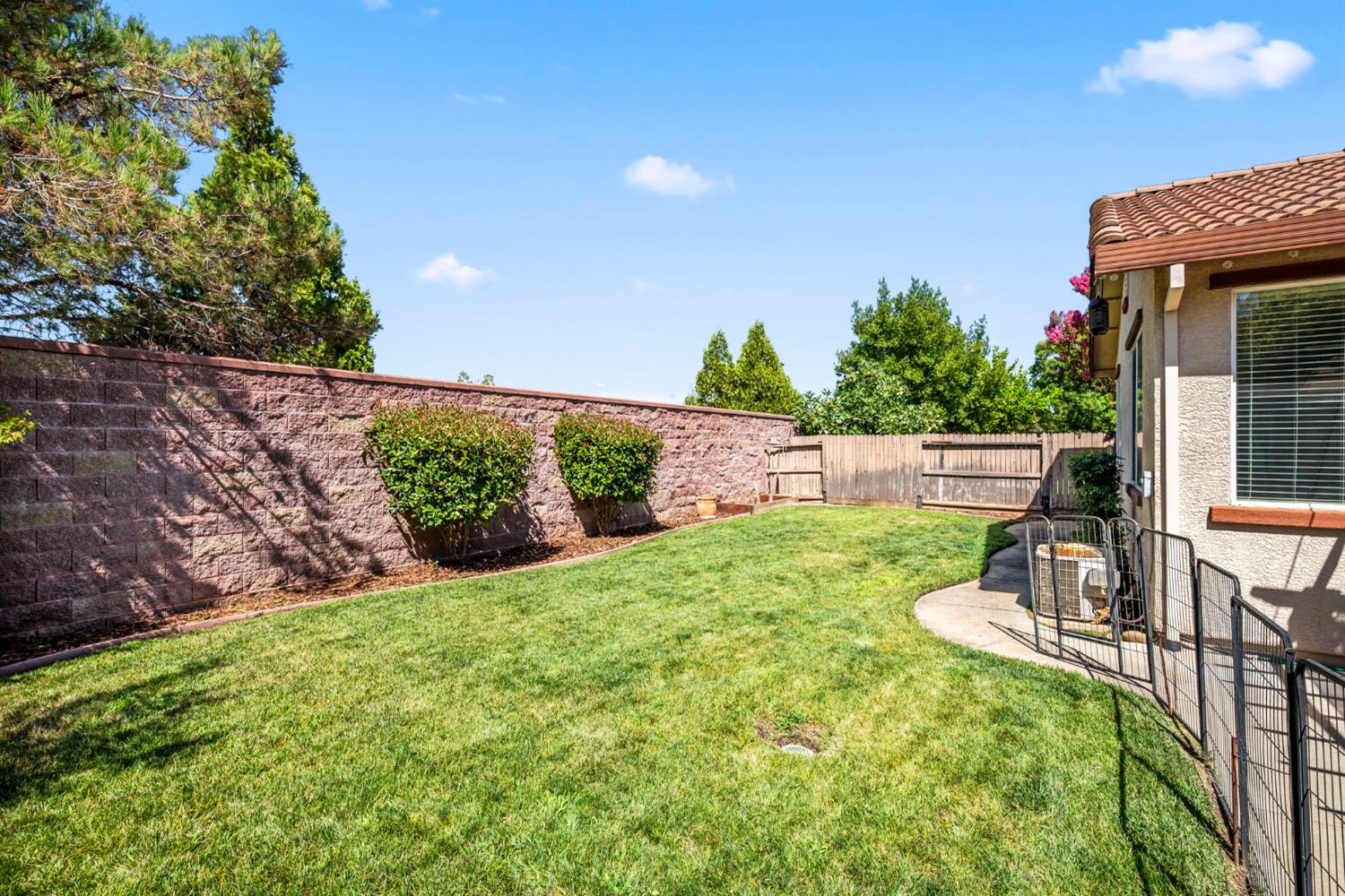 4403 Niobe Circle Rancho Cordova, CA 95742 - Photo 27 of 29 a view of yard with seating area