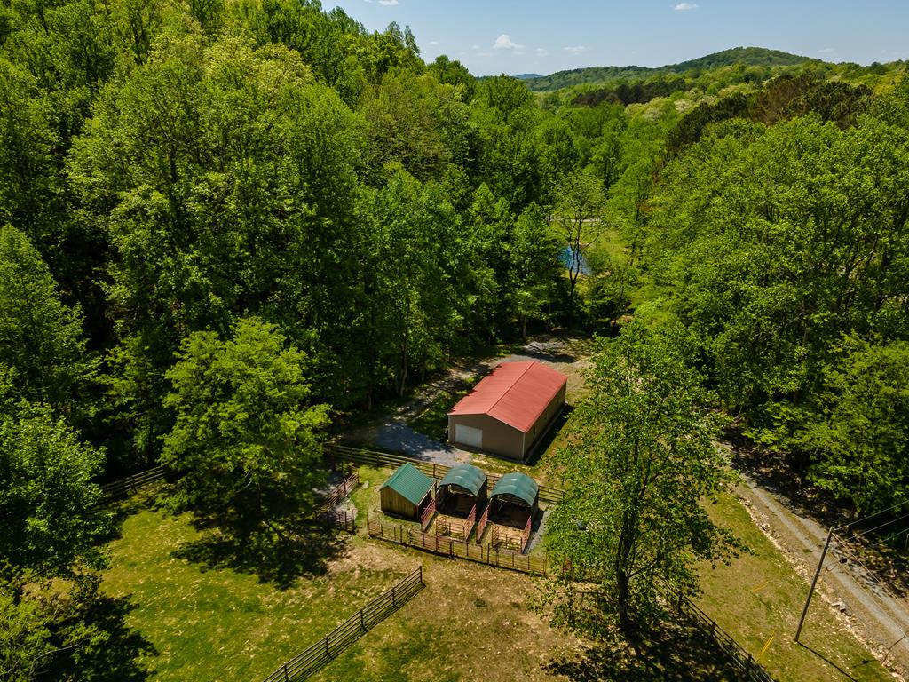 3 Doublehead Gap Road Blue Ridge, GA 30513 - Photo 9 of 12 Gallery Image 9