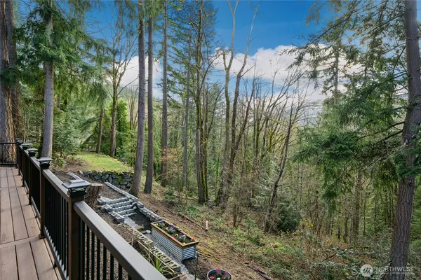 a view of a lush green forest with lots of trees