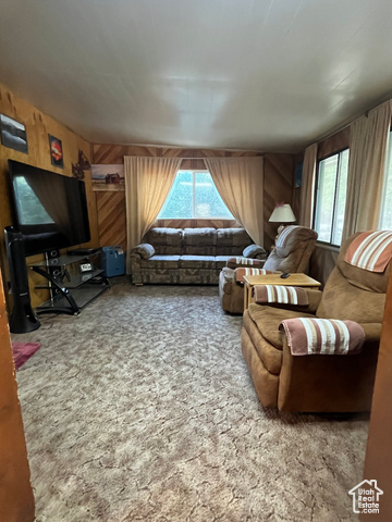 367 East Rio Grande Avenue Marysvale, UT 84750 - Photo 21 of 34 Carpeted living room with wooden walls