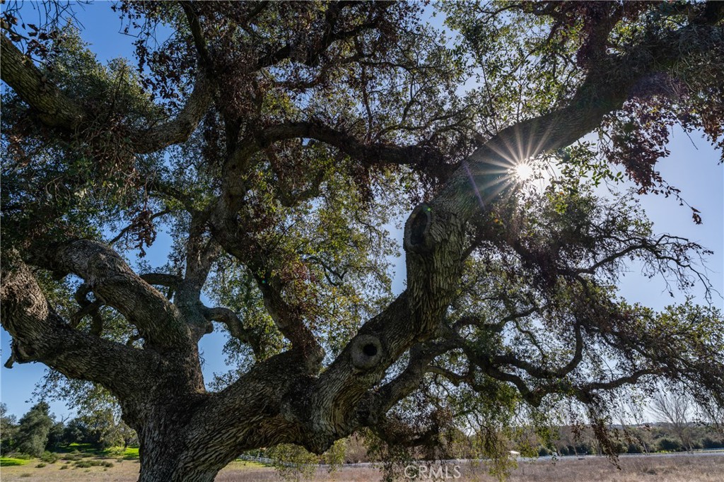 41560 De Anna Ranch Road Murrieta, CA 92562 - Photo 24 of 33