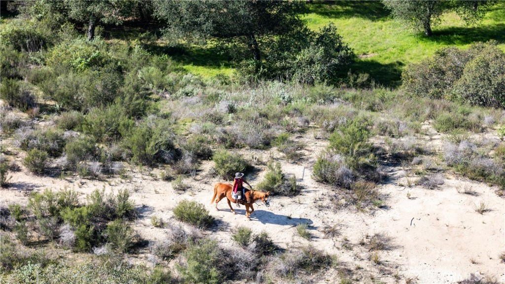 41560 De Anna Ranch Road Murrieta, CA 92562 - Photo 10 of 33