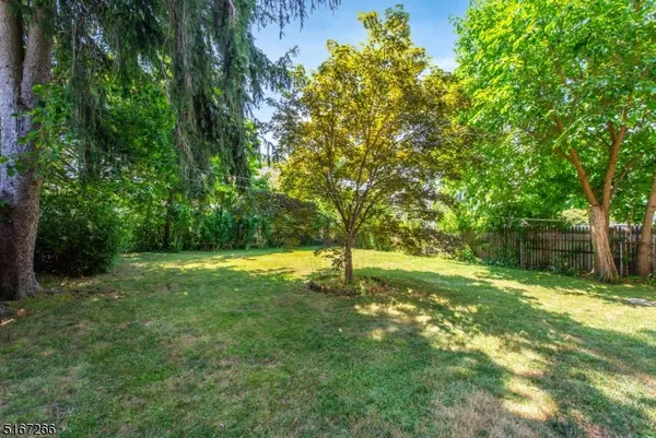 a backyard of a house with plants and large tree