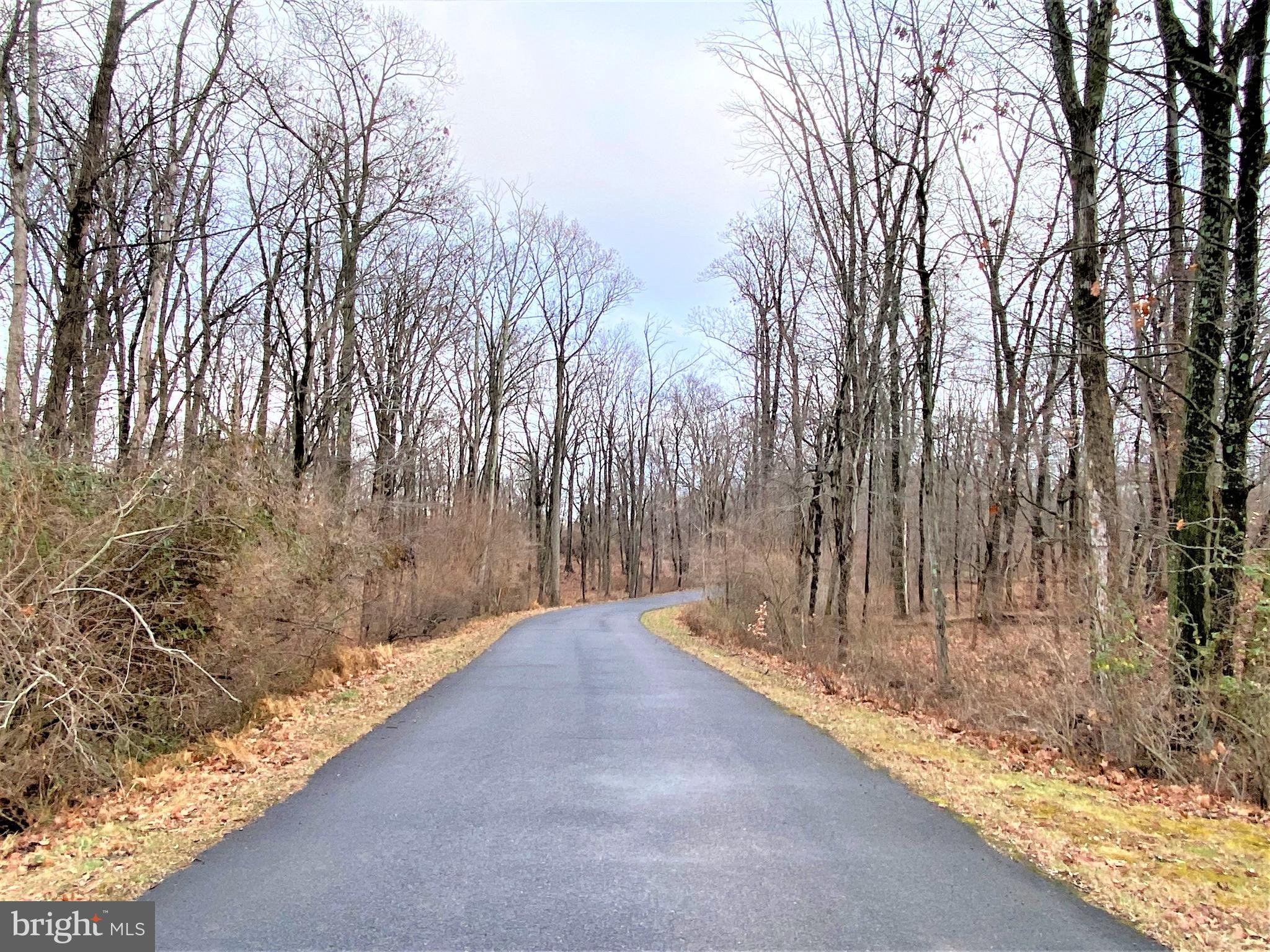 0 Tulpe Way Riegelsville, PA 18077 - Photo 20 of 24