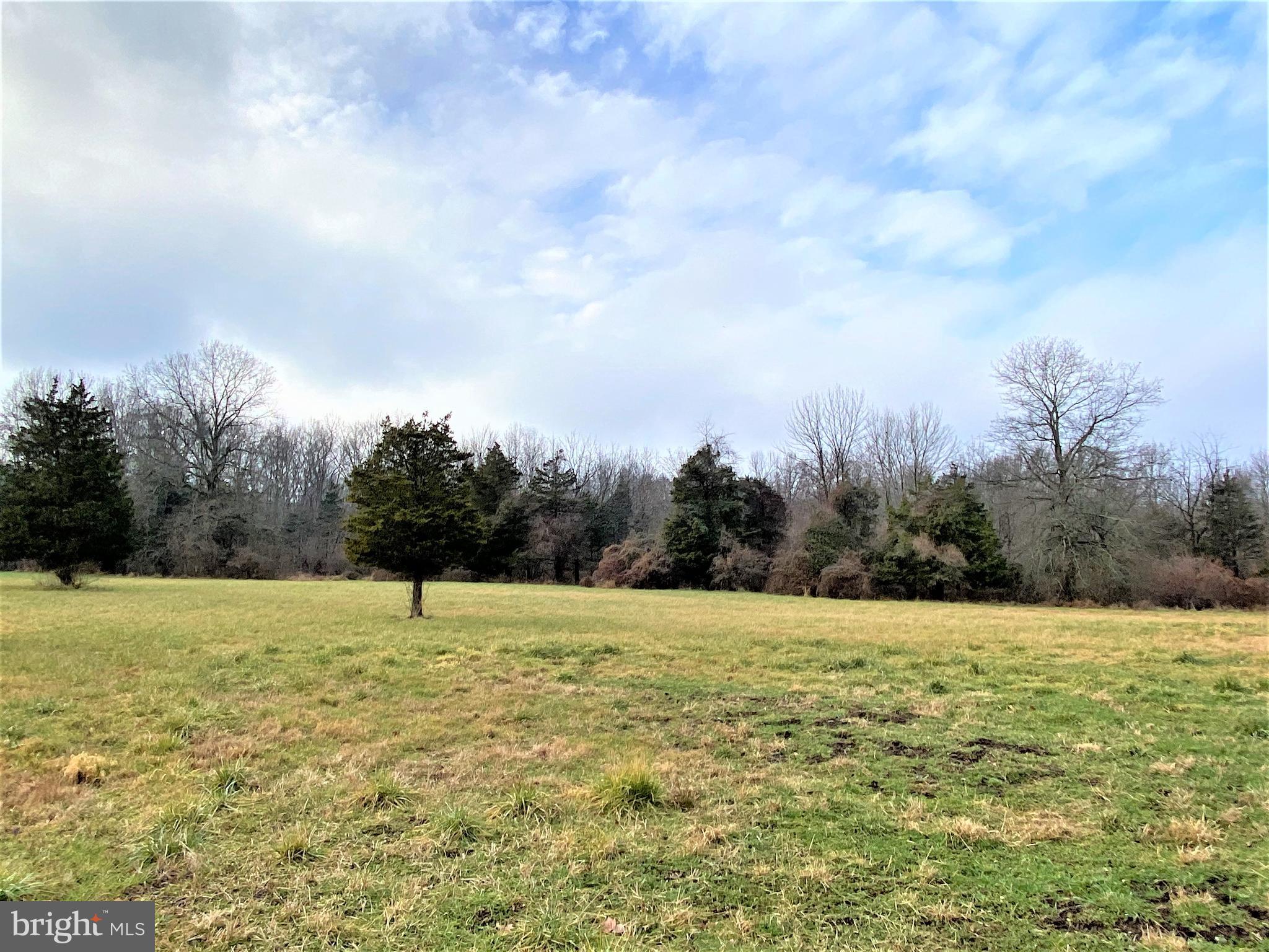 0 Tulpe Way Riegelsville, PA 18077 - Photo 3 of 24