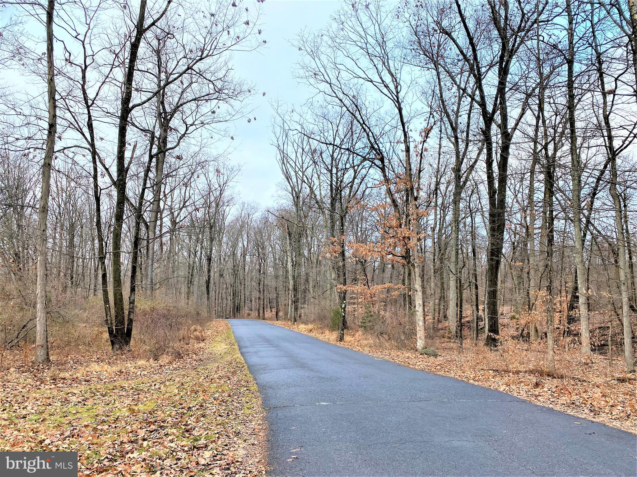 0 Tulpe Way Riegelsville, PA 18077 - Photo 22 of 24