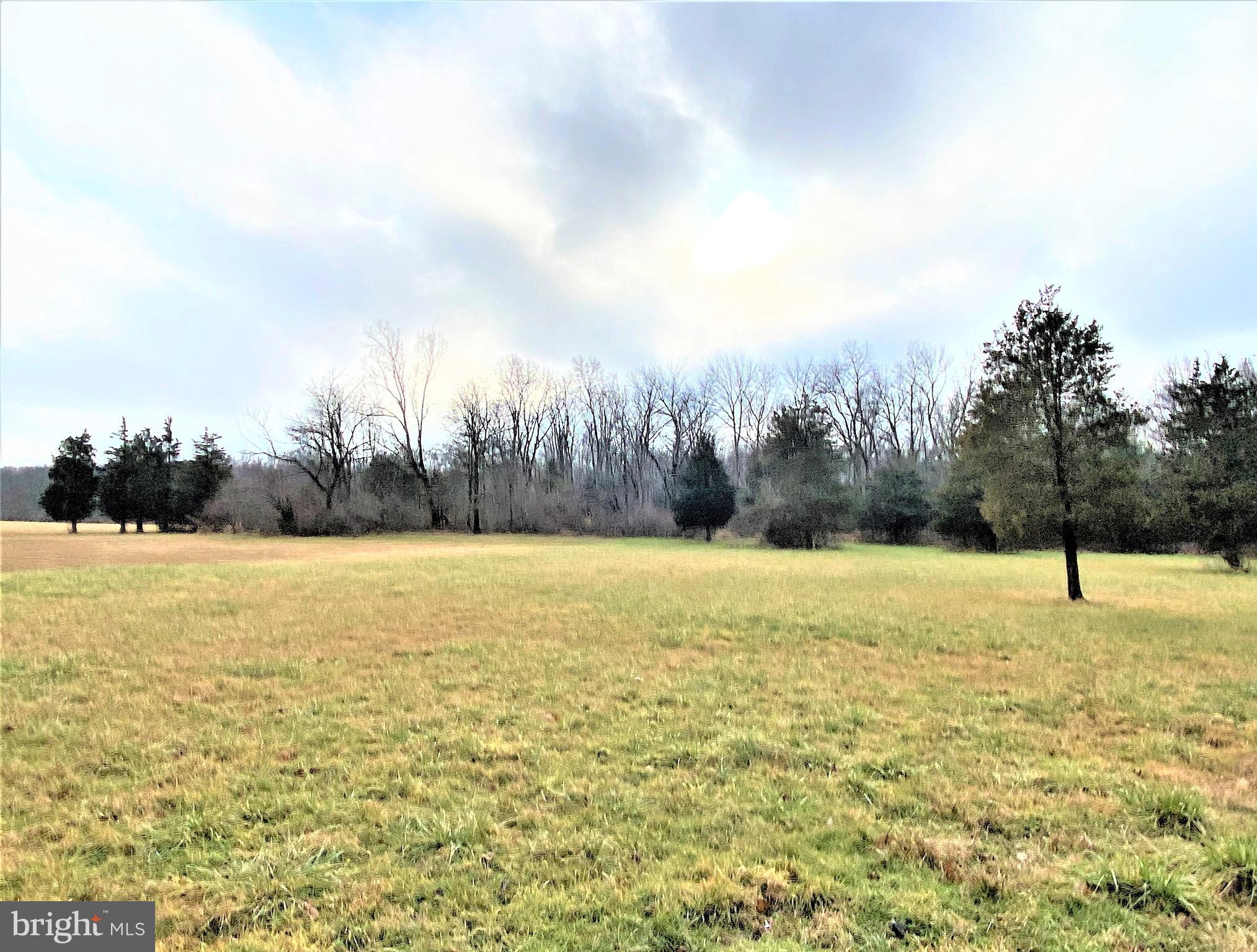 0 Tulpe Way Riegelsville, PA 18077 - Photo 4 of 24