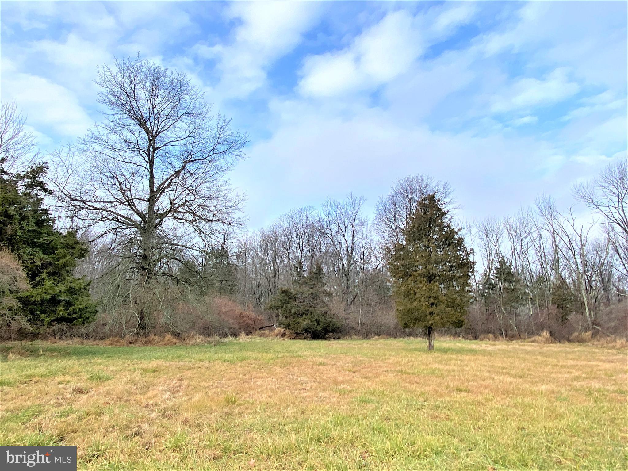 0 Tulpe Way Riegelsville, PA 18077 - Photo 5 of 24