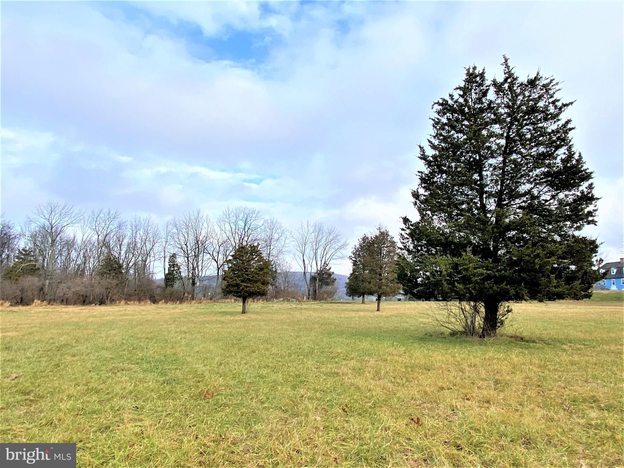 0 Tulpe Way Riegelsville, PA 18077 - Photo 9 of 24