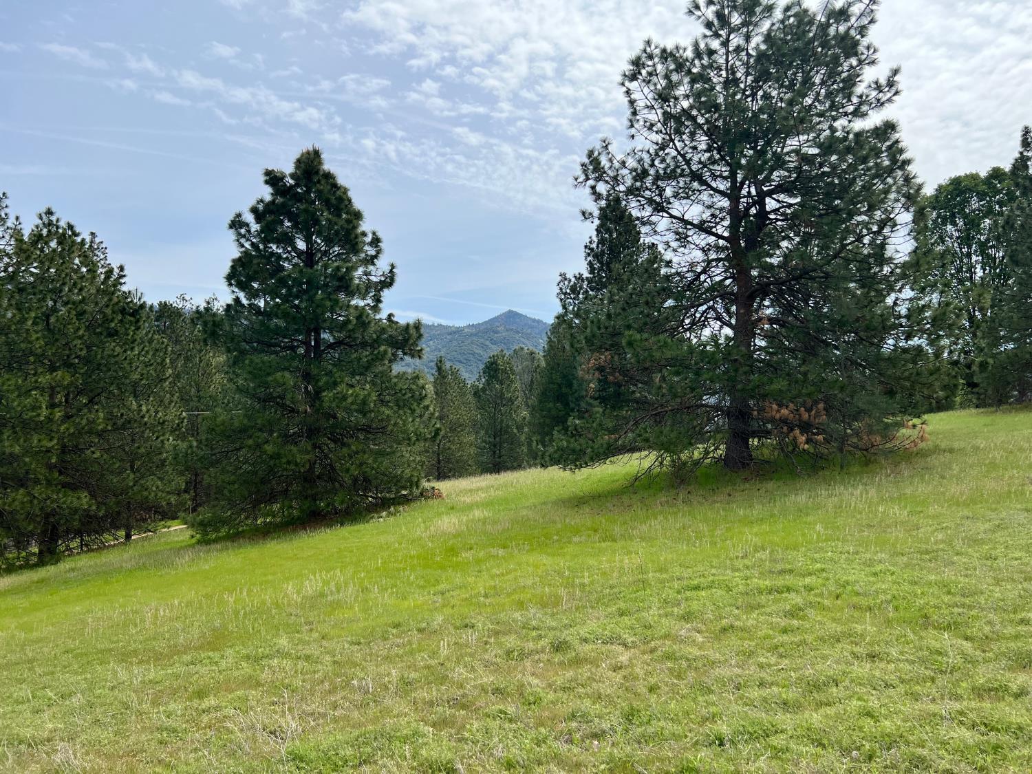 0 Watt Road Ahwahnee, CA 95338 - Photo 5 of 16