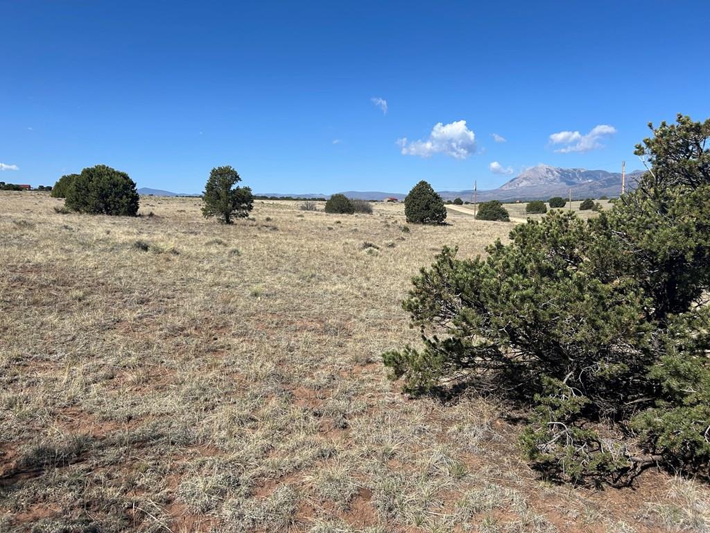 Lot 94 Navajo Ranch Walsenburg, CO 81089 - Photo 14 of 15 a view of a sky