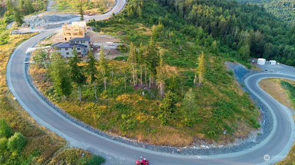 a view of a street from a yard