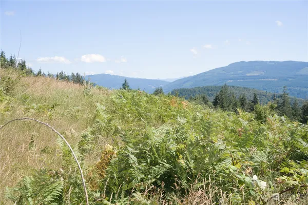 a view of a city with lush green forest