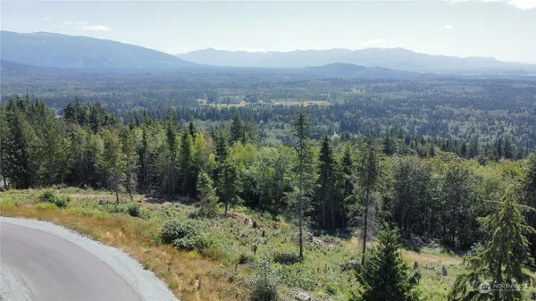 an aerial view of mountain with trees
