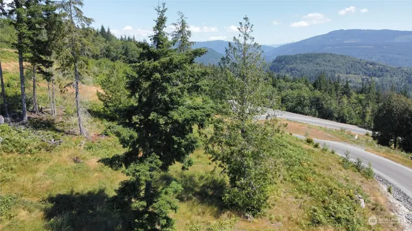 an aerial view of forest