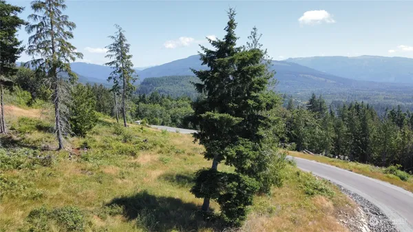 a view of an ocean and mountain