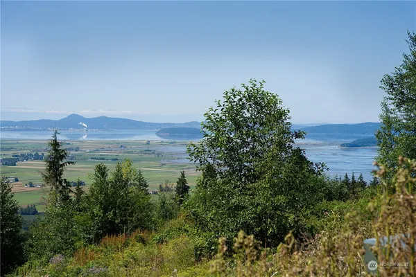 a view of a street with a mountain in the background