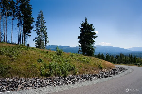 a view of backyard and outdoor space