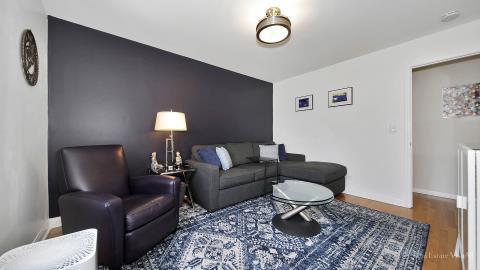 1248 Hackberry Road Deerfield, IL 60015 - Photo 28 of 40 a living room with furniture and a rug