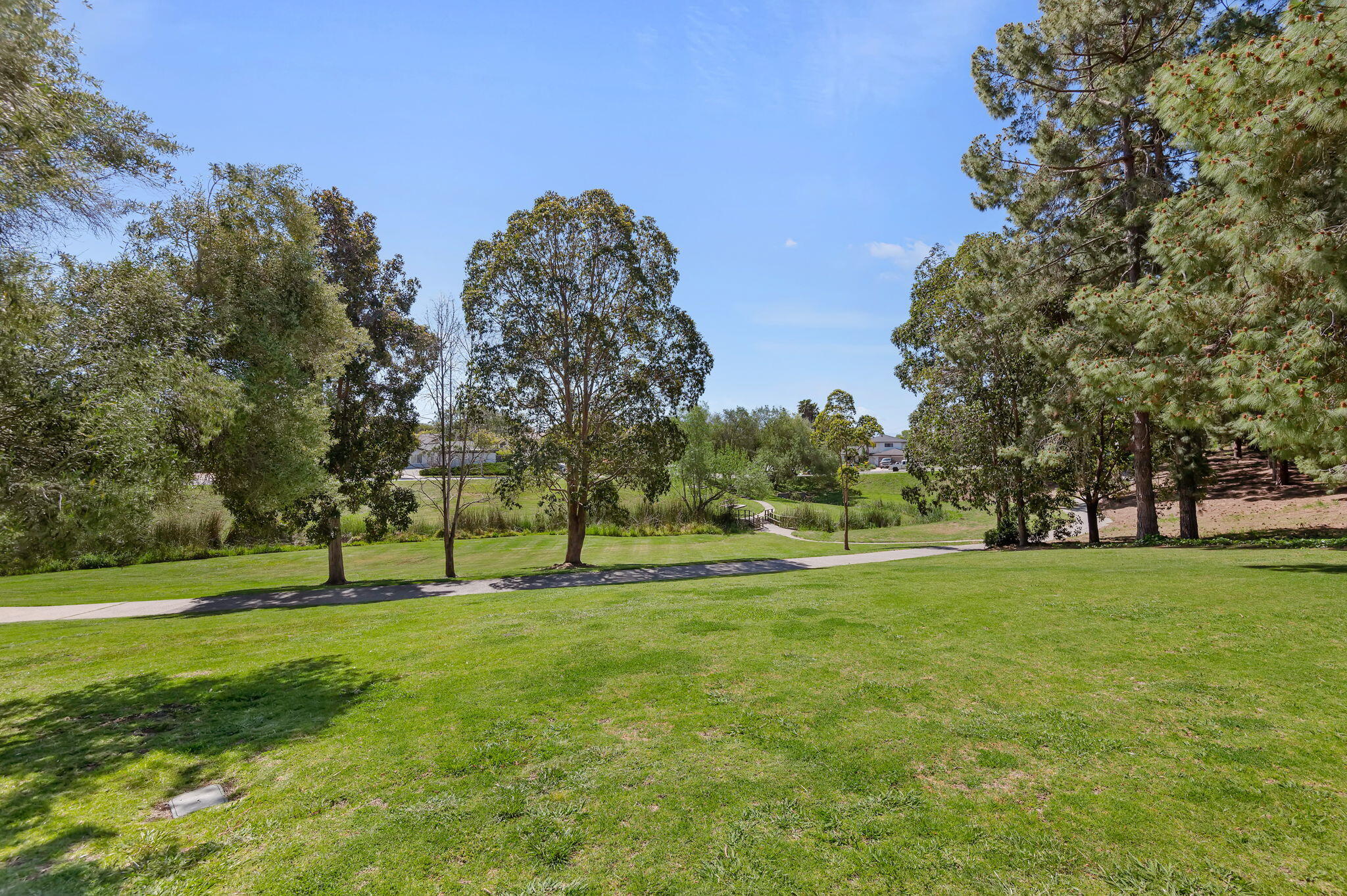 7397 Mirano Drive Goleta, CA 93117 - Photo 26 of 27 a view of grassy field with trees