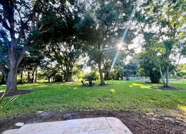 a view of a trees in a park