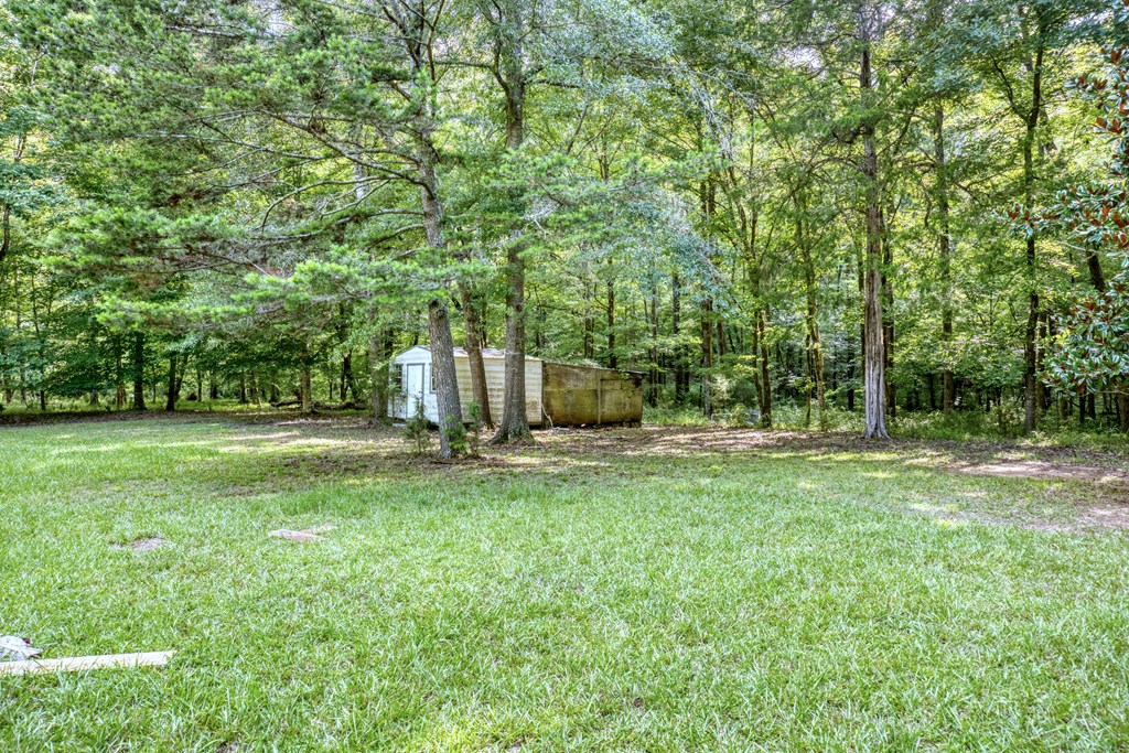 7842 Jenkins Road Upatoi, GA 31829 - Photo 56 of 59 Gallery Image 56