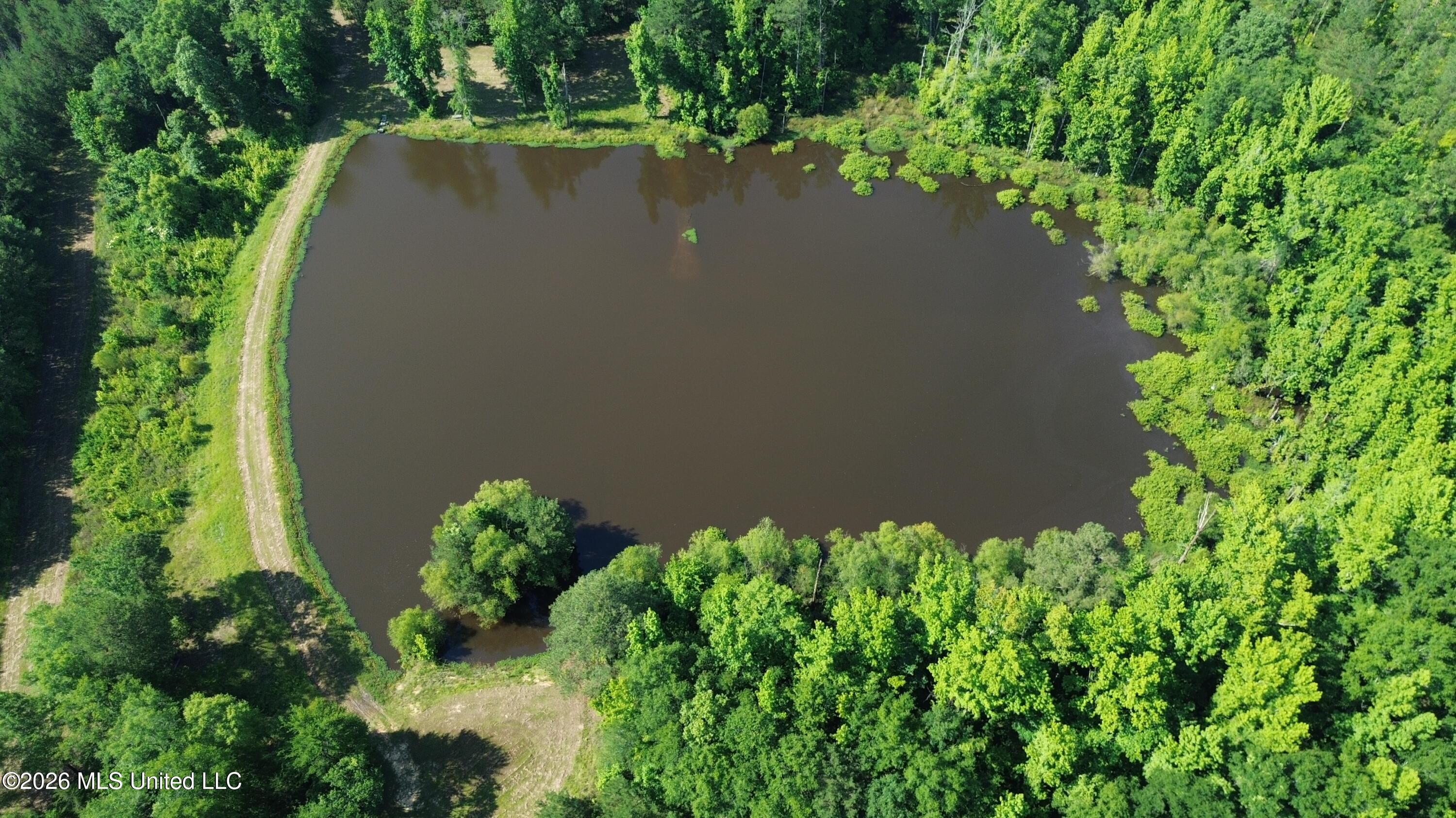 1359 Loring Rd Exd Camden, MS 39045 - Photo 31 of 91 DJI_0429