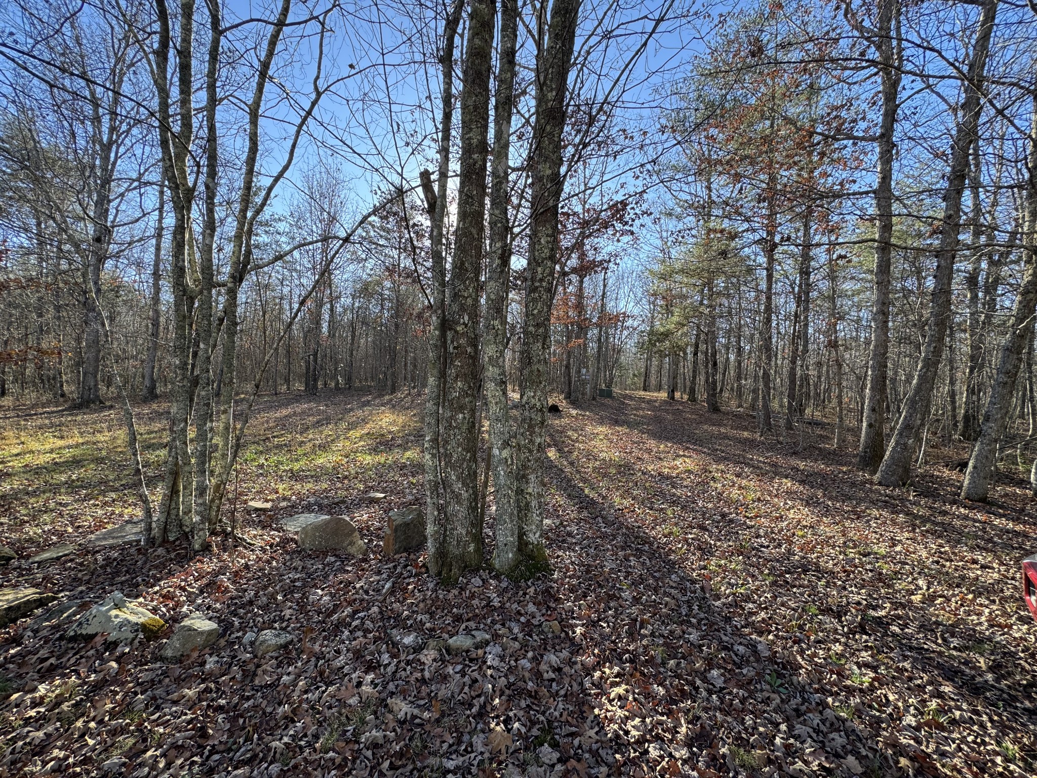 224 Azalea Ridge Road Tracy City, TN 37387 - Photo 2 of 20 Gallery Image 2