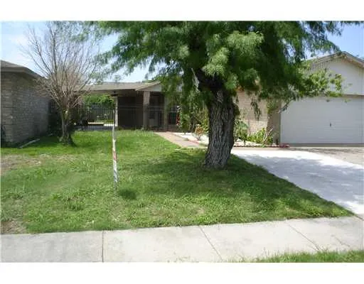 a view of a yard with plants and a tree
