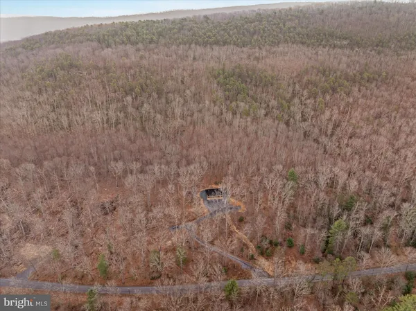 a view of sitting area in middle of the forest