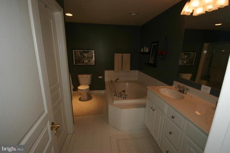 1796 Poolside Way, Unit A Frederick, MD 21701 - Photo 4 of 19 Master Bath
