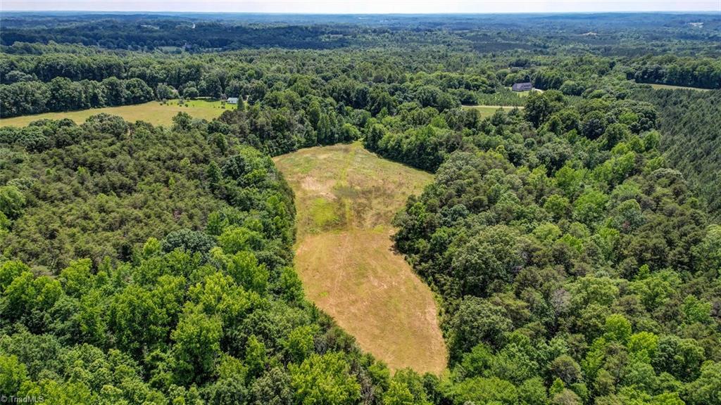 0 Blanch Road Blanch, NC 27212 - Photo 11 of 17