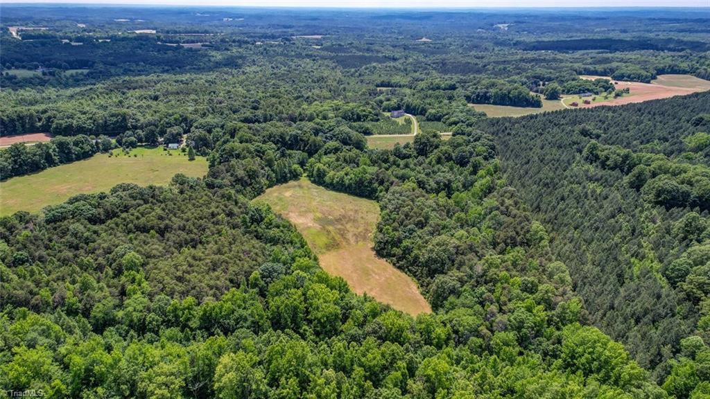 0 Blanch Road Blanch, NC 27212 - Photo 12 of 17