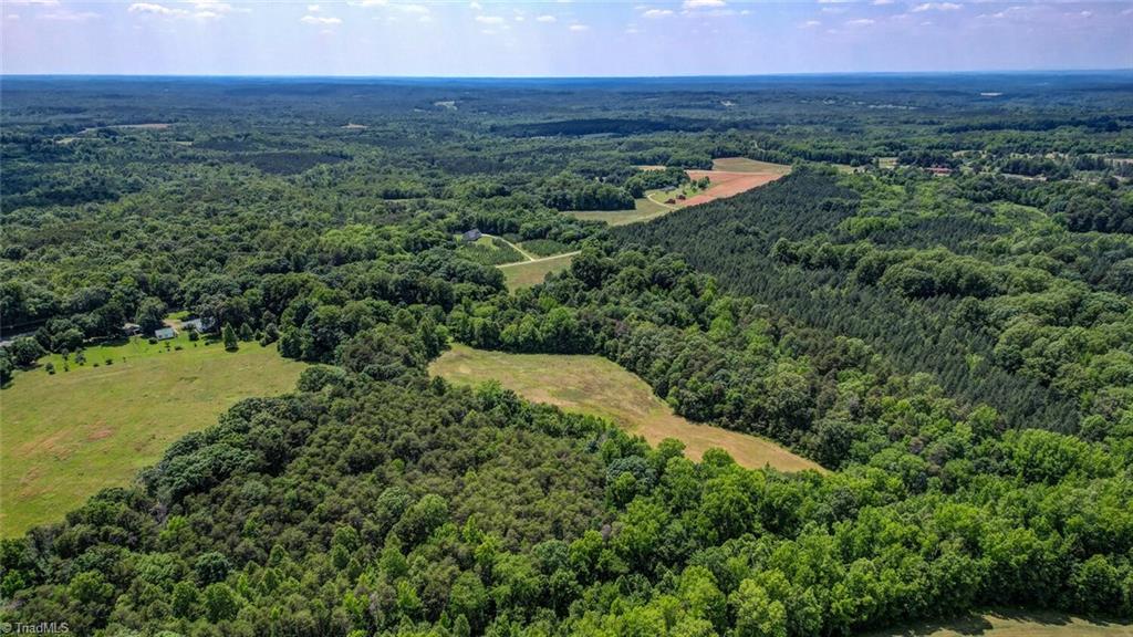 0 Blanch Road Blanch, NC 27212 - Photo 13 of 17