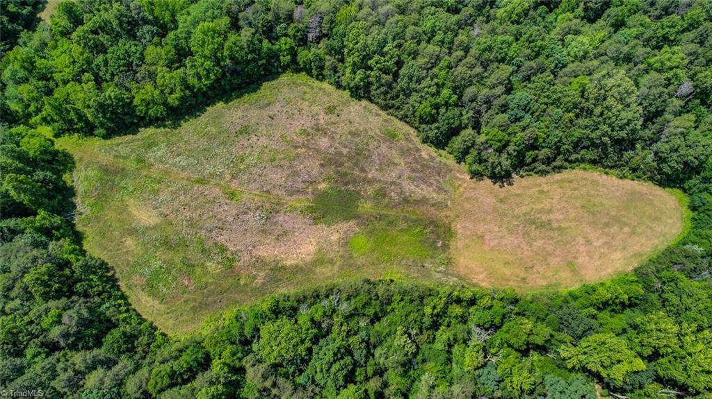 0 Blanch Road Blanch, NC 27212 - Photo 14 of 17