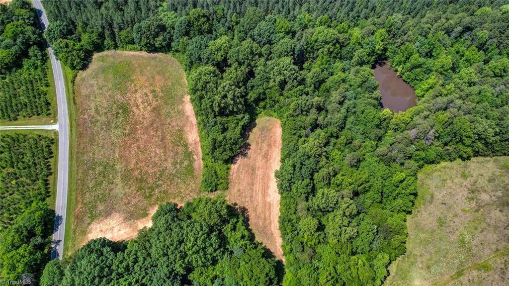 0 Blanch Road Blanch, NC 27212 - Photo 15 of 17