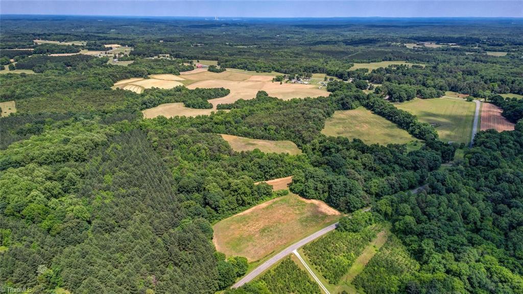 0 Blanch Road Blanch, NC 27212 - Photo 16 of 17