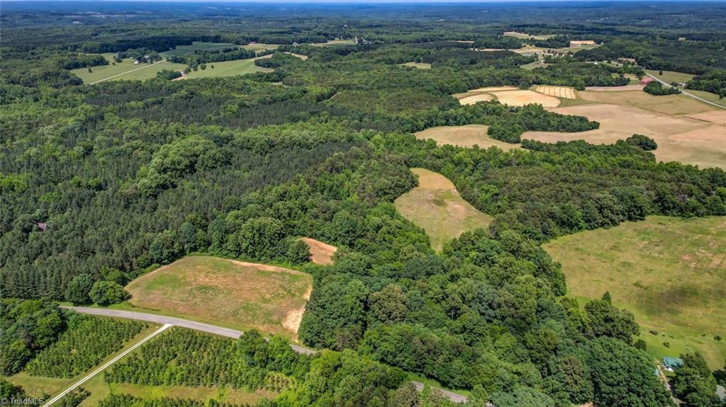 0 Blanch Road Blanch, NC 27212 - Photo 2 of 17