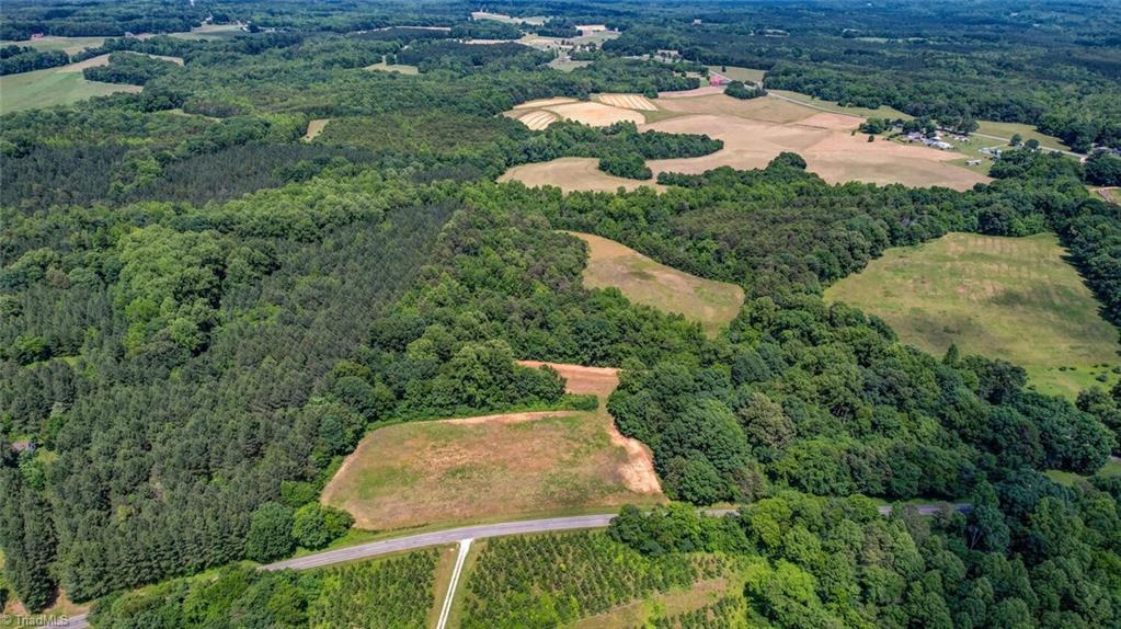 0 Blanch Road Blanch, NC 27212 - Photo 3 of 17