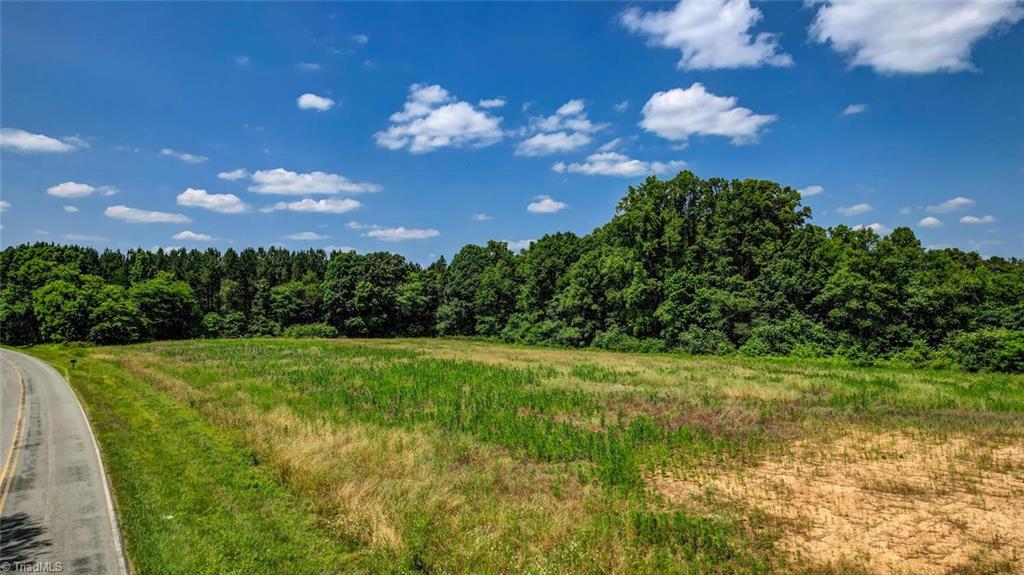 0 Blanch Road Blanch, NC 27212 - Photo 4 of 17