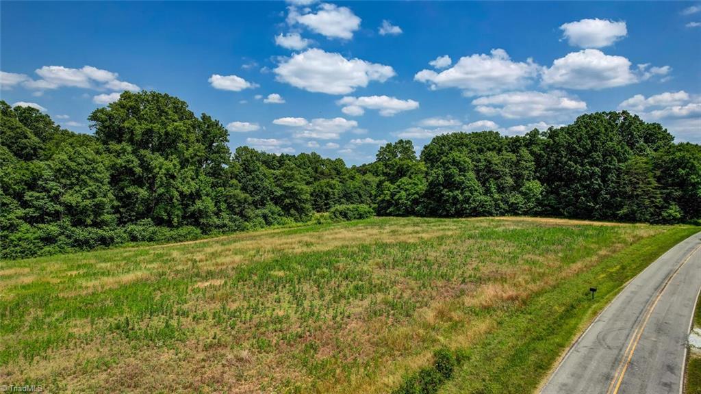 0 Blanch Road Blanch, NC 27212 - Photo 5 of 17