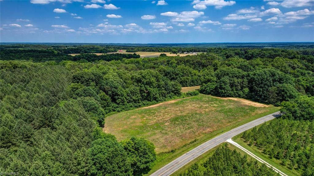 0 Blanch Road Blanch, NC 27212 - Photo 6 of 17