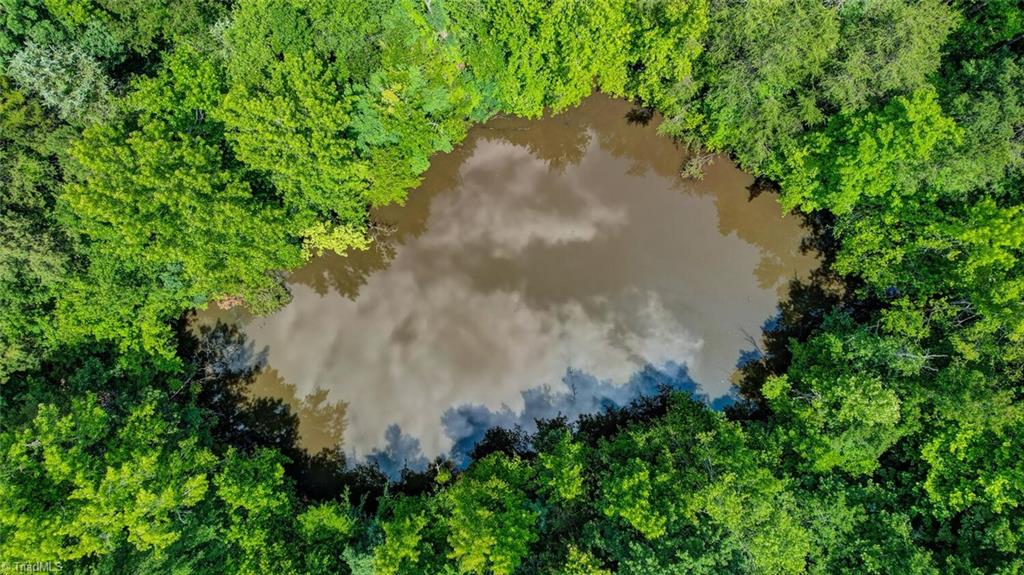 0 Blanch Road Blanch, NC 27212 - Photo 8 of 17